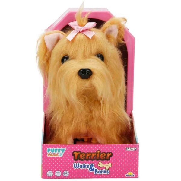 Sevimli Köpek Terrier