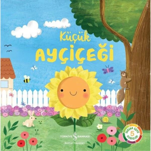 Doğanın Eşsiz Hikayeleri 5 Küçük Ayçiçeği
